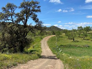 Bauernhof  De tomas martin
