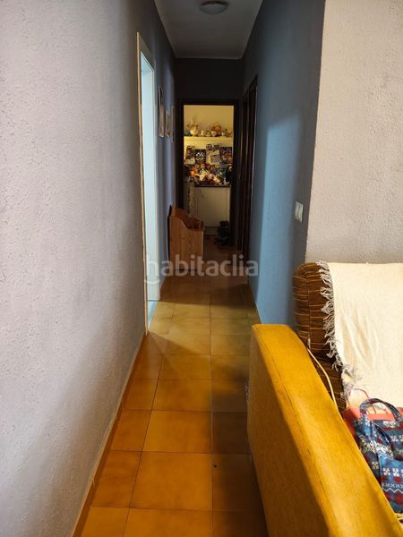 Foto c12b3e7e-86fc-4024-a4bd-d9ec516ddbe9. Pis a Carranque - Haza Cuevas Málaga