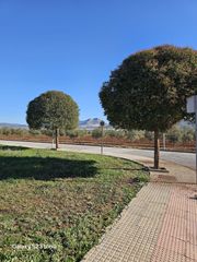 Residential Plot  Rio genil. En venta parcela, archidona