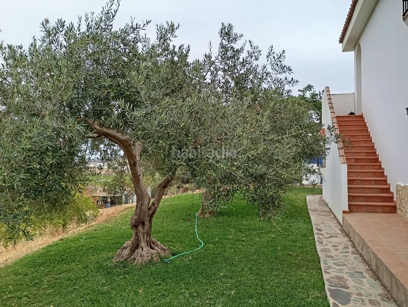 Foto 668287a2-99b2-4367-8f74-21f0674b4585. Casa amb piscina a estación de Cártama Cártama