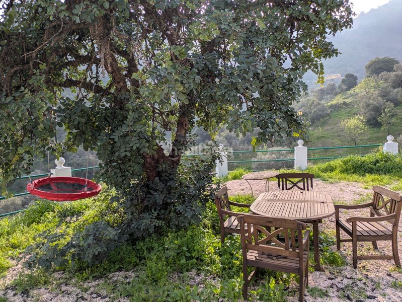 Foto bfb3ae33-f0d3-43b3-801b-455c5ea34aff. Masia a alegría de la huerta- jardín de Málaga Málaga