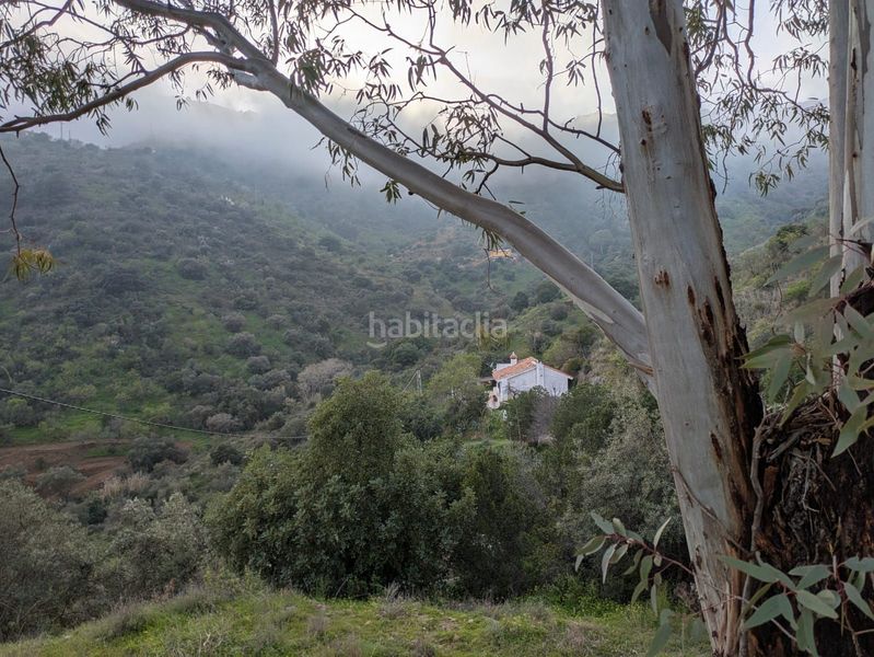 Foto f980ba0e-e5e0-476c-84ae-d613dc7b6454. Masia a alegría de la huerta- jardín de Málaga Málaga