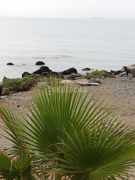 Foto d94013d9-9847-4ba0-805e-03edbfe116fc. Pis amb calefacció a Hacienda Torrequebrada Benalmádena