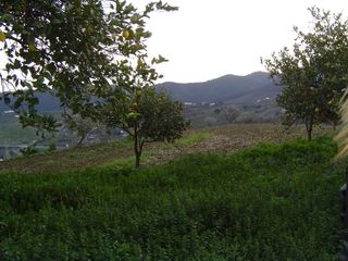 Finca rústica  Antonio rioboó. Oportunidad