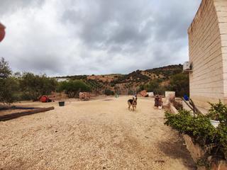 Finca rústica a Almogía. Casa terrera