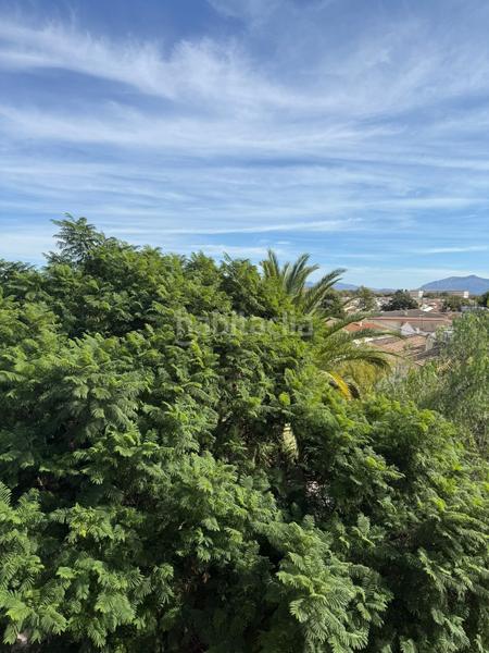 Foto 322149a0-4bf0-4d88-a726-d432725adfc2. Appartamento in Campillos