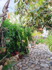 Maison à La Regia. Amplio bungalow en planta baja con jardín  zona la regia