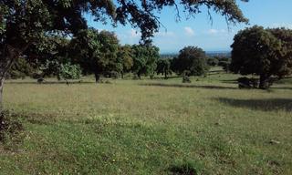 Residential Plot in Casco Antiguo. Dehesa de encinas