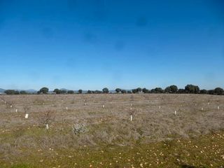 Finca r�stica en Paredes de Escalona. Finca r�stica cerca de madrid