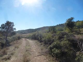 Residential Plot in Casco Antiguo. Finca de caza en talavera