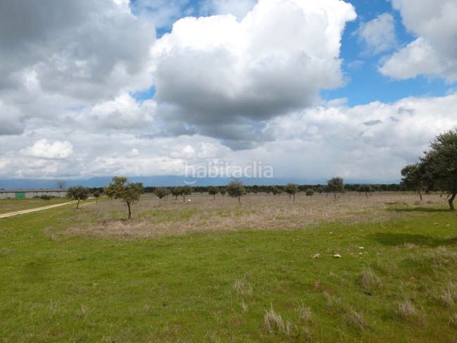 Foto eb06abca-8f4f-4b00-a582-b842cc8a146e. Finca rústica a Casco Antiguo Talavera de la Reina