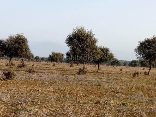 Foto f5c31224-00e4-41ce-825f-f1c6d550cc2d. Finca rústica a Casco Antiguo Talavera de la Reina