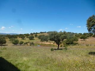 Rural plot in Aliseda. Finca de caza y recreo