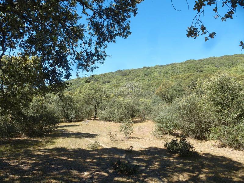 Foto 422ea787-926d-4ba3-9dad-f725e979e902. Wohngrundstück in Madroñera