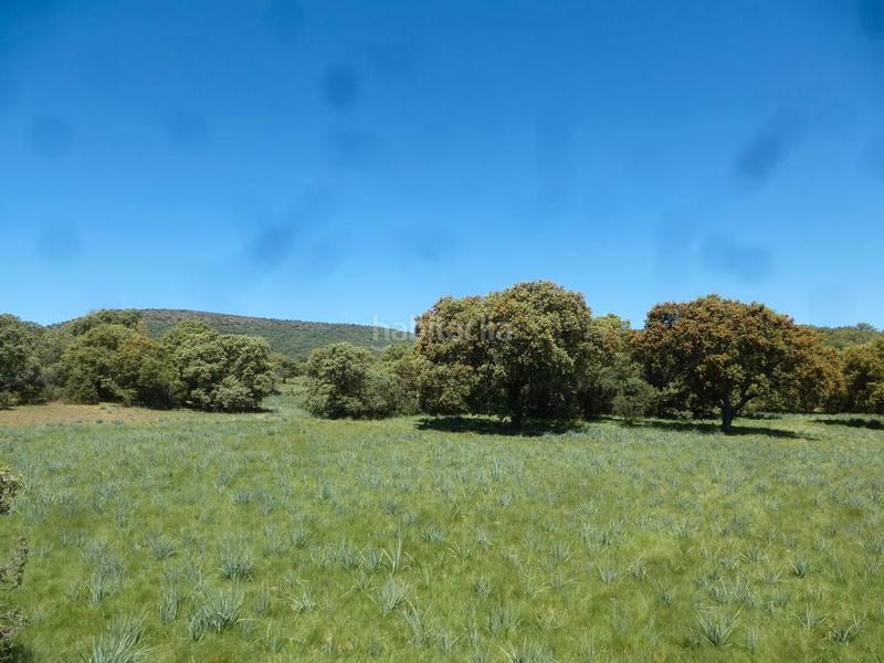 Foto 50269c91-53d5-4d71-b311-40393cd1ee42. Wohngrundstück in Madroñera