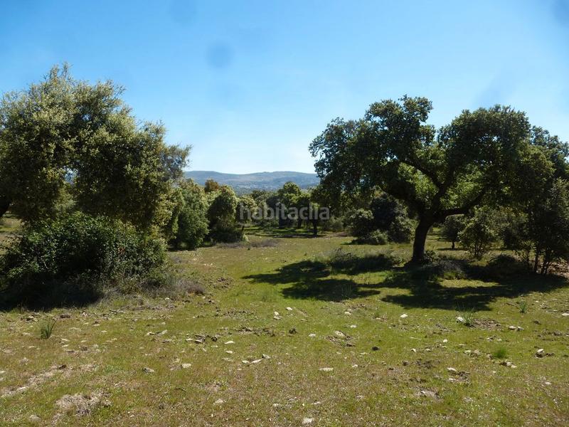 Foto 7a767af3-82f3-4077-a058-8d14b9bf49a4. Wohngrundstück in Madroñera