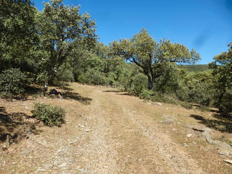 Foto c857e0dd-f20e-4316-af83-1077ee45b881. Wohngrundstück in Madroñera