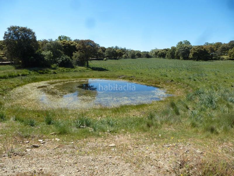 Foto e12c2180-bd11-4eaf-a965-7abbe43a82d2. Wohngrundstück in Madroñera