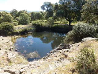 Terreno residenziale en Madro�era. Finca de caza