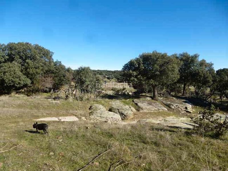 Foto 0e7f943e-bfb1-4593-ab65-6a1274f89a19. Terreno residencial finca para eventos en Centro Ávila