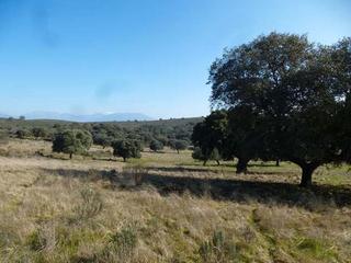 Propriété à Arenas de San Pedro. Finca con casa para rehabilitar