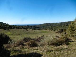 Terreny residencial a Real de San Vicente (El). Finca ganadera en el piélago