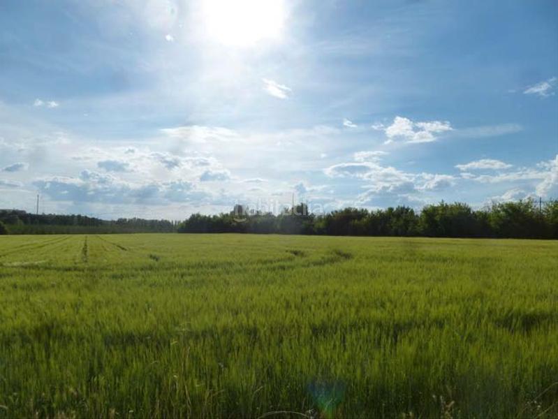 Foto 59c3c006-bf07-403d-a6bb-a2ad9b5bcbe5. Fondo rustico in San Lorenzo - San Marcos Segovia