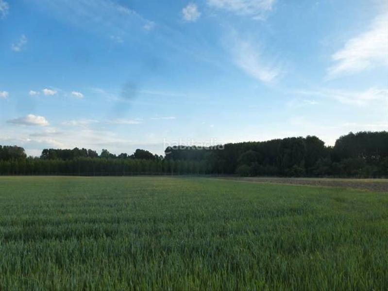 Foto aded256f-be7b-4eff-ba9b-9938408a2b24. Fondo rustico in San Lorenzo - San Marcos Segovia