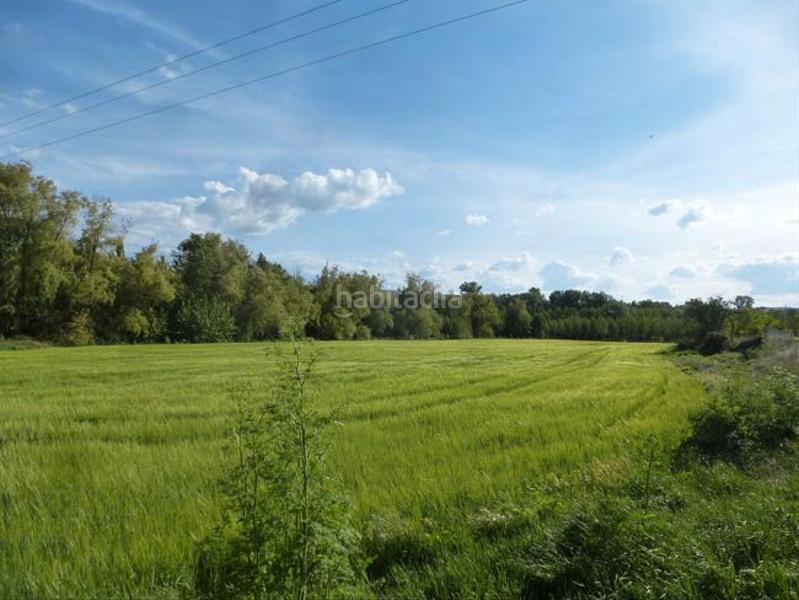Foto d6aeccf1-b116-4d63-a753-519e47655a19. Fondo rustico in San Lorenzo - San Marcos Segovia