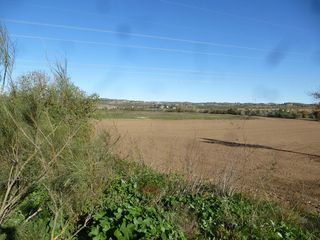 Finca r�stica en Cebolla. Muy buena finca de regad�o