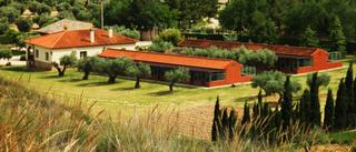 Rural plot in Calle del parque rivas 24p. ¡oportunidad única! hotel canino en pleno funcionamiento.