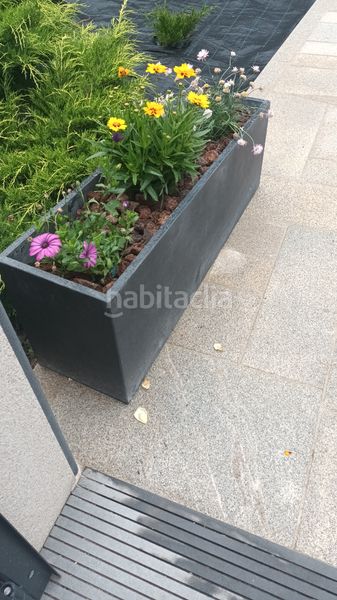 Foto 65d87056-0c47-407e-971a-ee6a1d17c9e3. Xalet amb calefacció aparcament a Fingoi Lugo