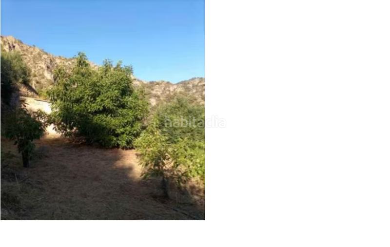 Foto 74ce8cbf-52fc-4a38-8157-808db0492f22. Landgut in Guájares (Los)