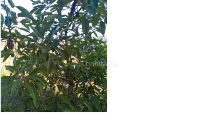 Foto 815a82c9-98ee-448f-a08f-ca948a885ba4. Landgut in Guájares (Los)