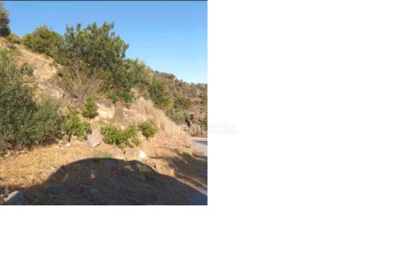 Foto cd9cb5ff-0ac7-4747-8d1d-4f76cdc949d7. Landgut in Guájares (Los)