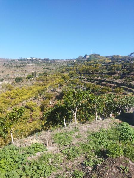 Foto 3303d602-71b1-459b-b3be-fd8293a039b4. Landgut in calle aduana 20 in Motril ciudad Motril