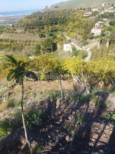 Foto 910032df-9942-48e4-9a34-8fe0777a01ad. Landgut in calle aduana 20 in Motril ciudad Motril