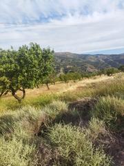 Rural plot in Motril  ciudad. Finca en velez benaudalla ideal para invernadero