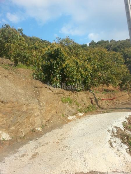 Foto 69100c1f-fff2-4313-b477-4026c5a079de. Propriété dans plaza ayuntamiento 48 dans Jete