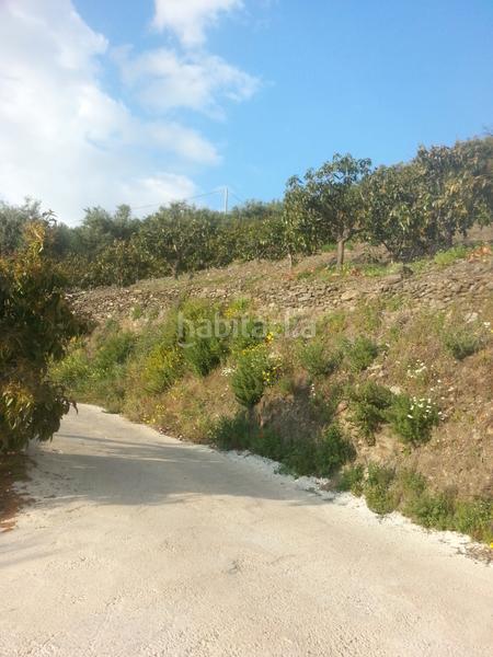 Foto 71e8cf98-ba7d-42d3-9df2-d06c122d36a7. Propriété dans plaza ayuntamiento 48 dans Jete