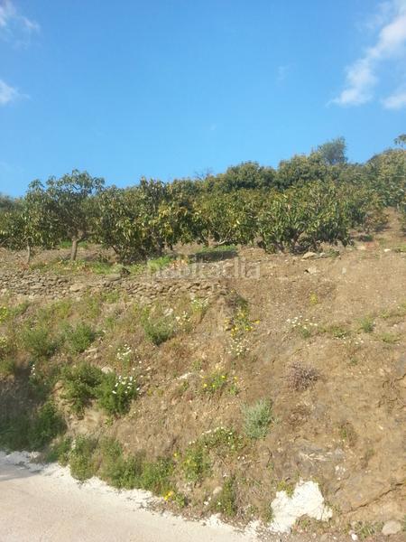 Foto e3fd010b-2206-4556-a364-8b97977e69cb. Propriété dans plaza ayuntamiento 48 dans Jete