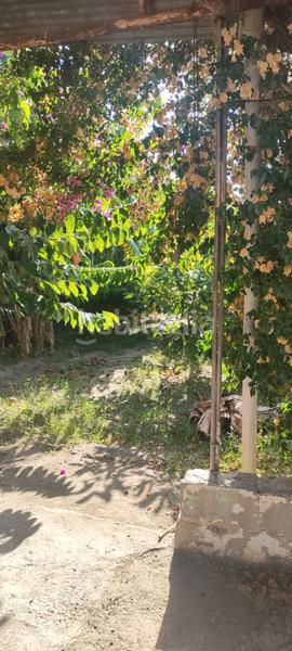 Foto 022f6c83-0cbf-4a4e-945e-8870cccc7533. Finca rústica a Centro Salobreña