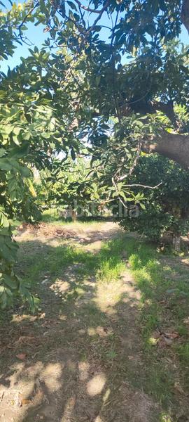 Foto 9ae3420b-8775-4fd1-89c5-936d1db4ecfe. Finca rústica a Centro Salobreña