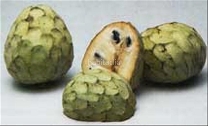 Foto 77acbc77-41df-4c62-b69a-54888f07d371. Propriété dans Centro Salobreña