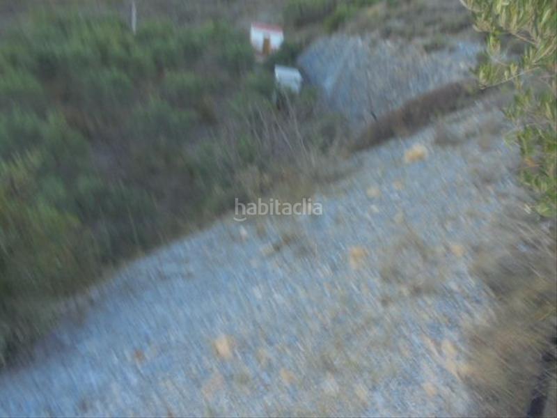 Foto 164c12c1-4e69-4e79-b9e1-ba879ee2aabf. Fondo rustico in Motril ciudad Motril