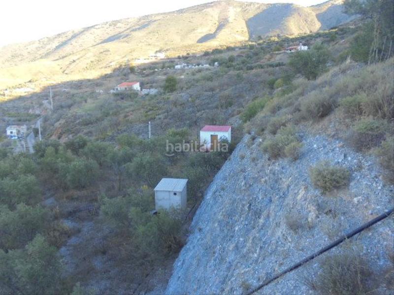 Foto 298a69a0-8400-402f-8bc9-bda634968a1e. Fondo rustico in Motril ciudad Motril