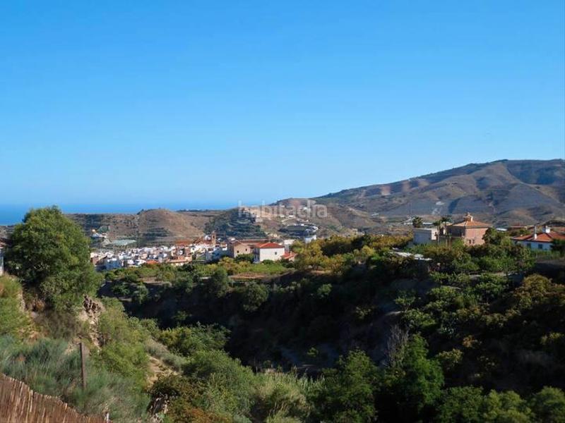 Foto 92e76fe0-24c1-4c2e-a0b6-3dc96c0ae335. Fondo rustico in Motril ciudad Motril