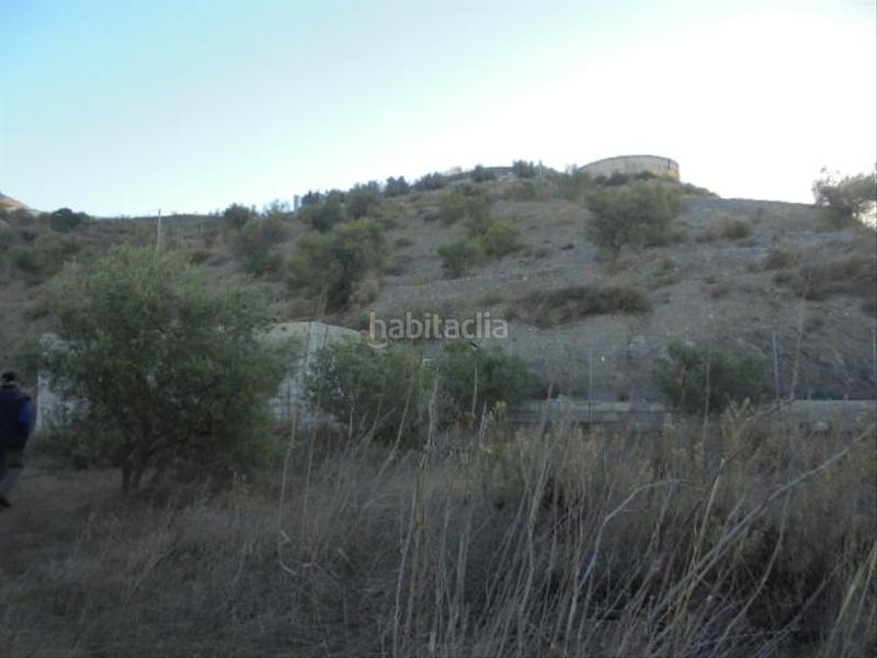 Foto cdb51dc0-3b2e-4c61-9c5a-3d3404ad2925. Fondo rustico in Motril ciudad Motril