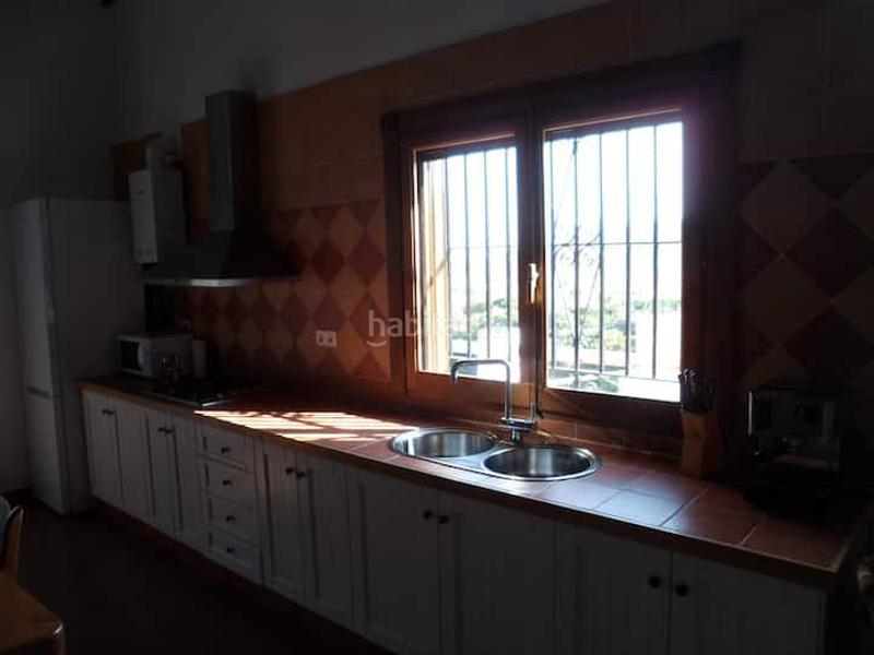 Foto ea7737f3-d79d-4c11-bbba-011b4f1303f7. Fondo rustico in Motril ciudad Motril