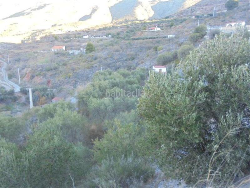 Foto faaf238f-27d6-4d9a-bb3f-25176c0d73de. Fondo rustico in Motril ciudad Motril